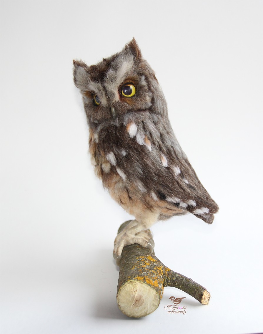 Sleepy owl. Dry felting. - My, Needlework without process, Dry felting, Birds, Needlework, Handmade, Creation, Longpost