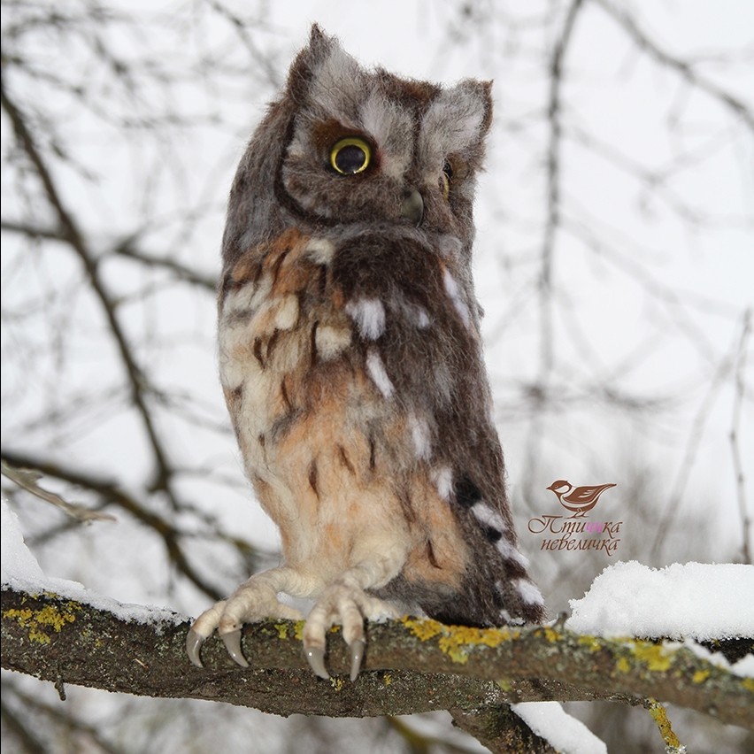 Sleepy owl. Dry felting. - My, Needlework without process, Dry felting, Birds, Needlework, Handmade, Creation, Longpost