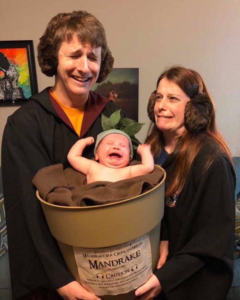 Best Halloween Costume - Harry Potter, Costume, Halloween, Mandrake, Parents, Children, Humor