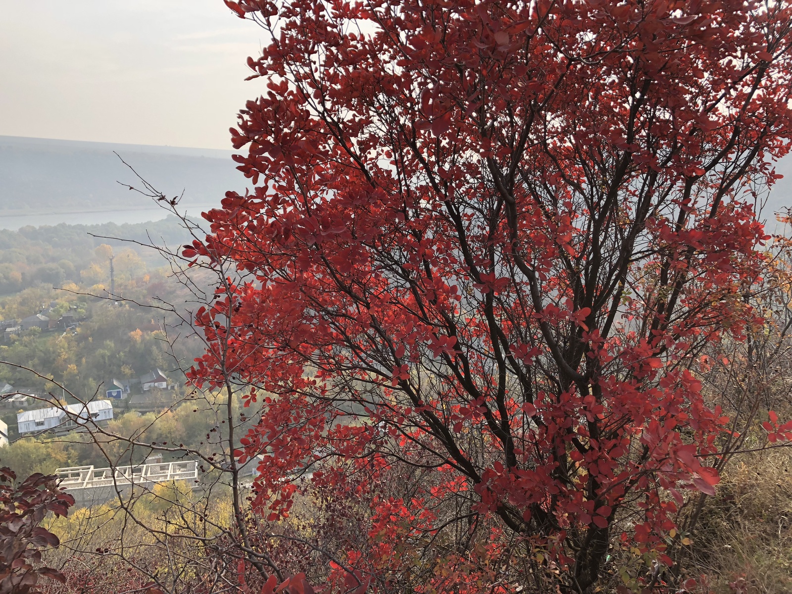 Autumn in Moldova - Longpost, Photo on sneaker, Moldova, Autumn