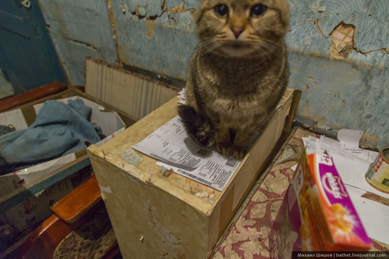 Life in the barrack photo - Barrack, Arkhangelsk, Longpost, Emergency housing