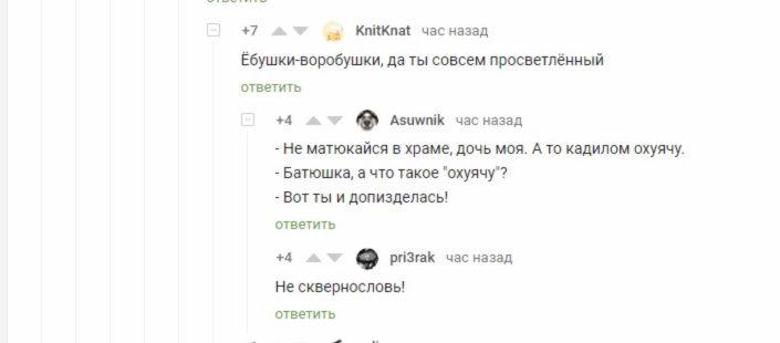 Как правильно готовится к рождению ребенка - Церковь, Беременность, Комментарии на Пикабу, Скриншот, Комментарии, Витамины