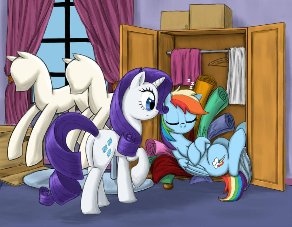 Closet - My little pony, Rarity, Rainbow dash, Otakuap