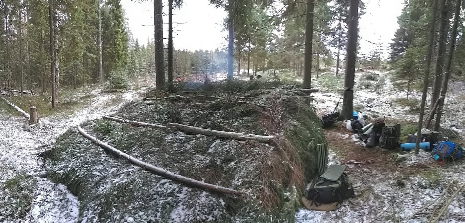 Description of the trip 10/27/18 or how it was on my part - My, Longpost, Forest, Hike, Leningrad region, Tourism