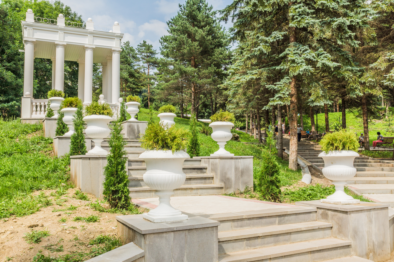 Kislovodsk, Resort Park, July 2013 - My, Kislovodsk, Spa Park, The photo, Plants, beauty, Longpost