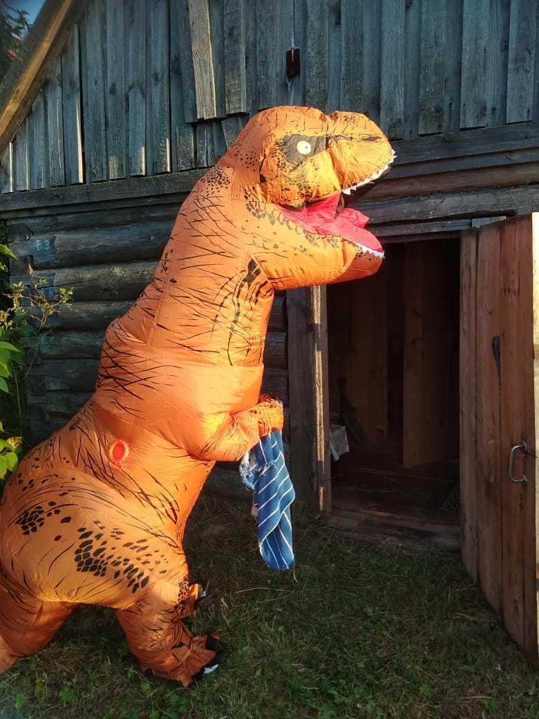 When he came to the village to visit his grandmother. - My, Dinosaur costume, Village, Longpost