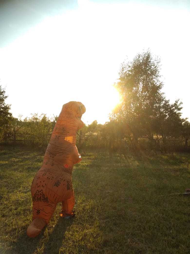 When he came to the village to visit his grandmother. - My, Dinosaur costume, Village, Longpost