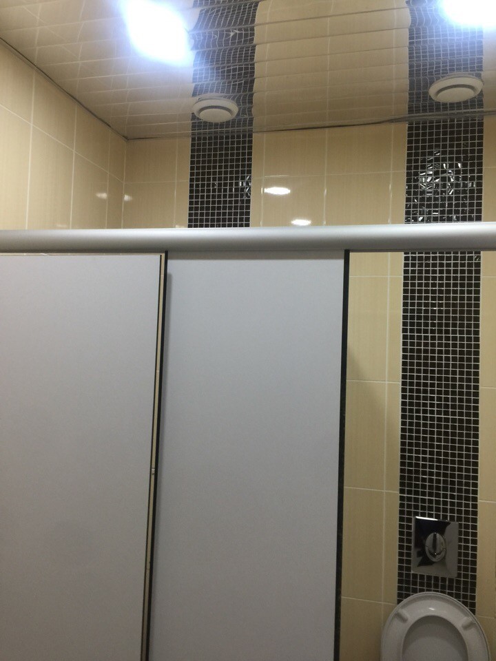 Ceiling in the toilet - Toilet, Mirror ceiling, Do not be shy, Longpost