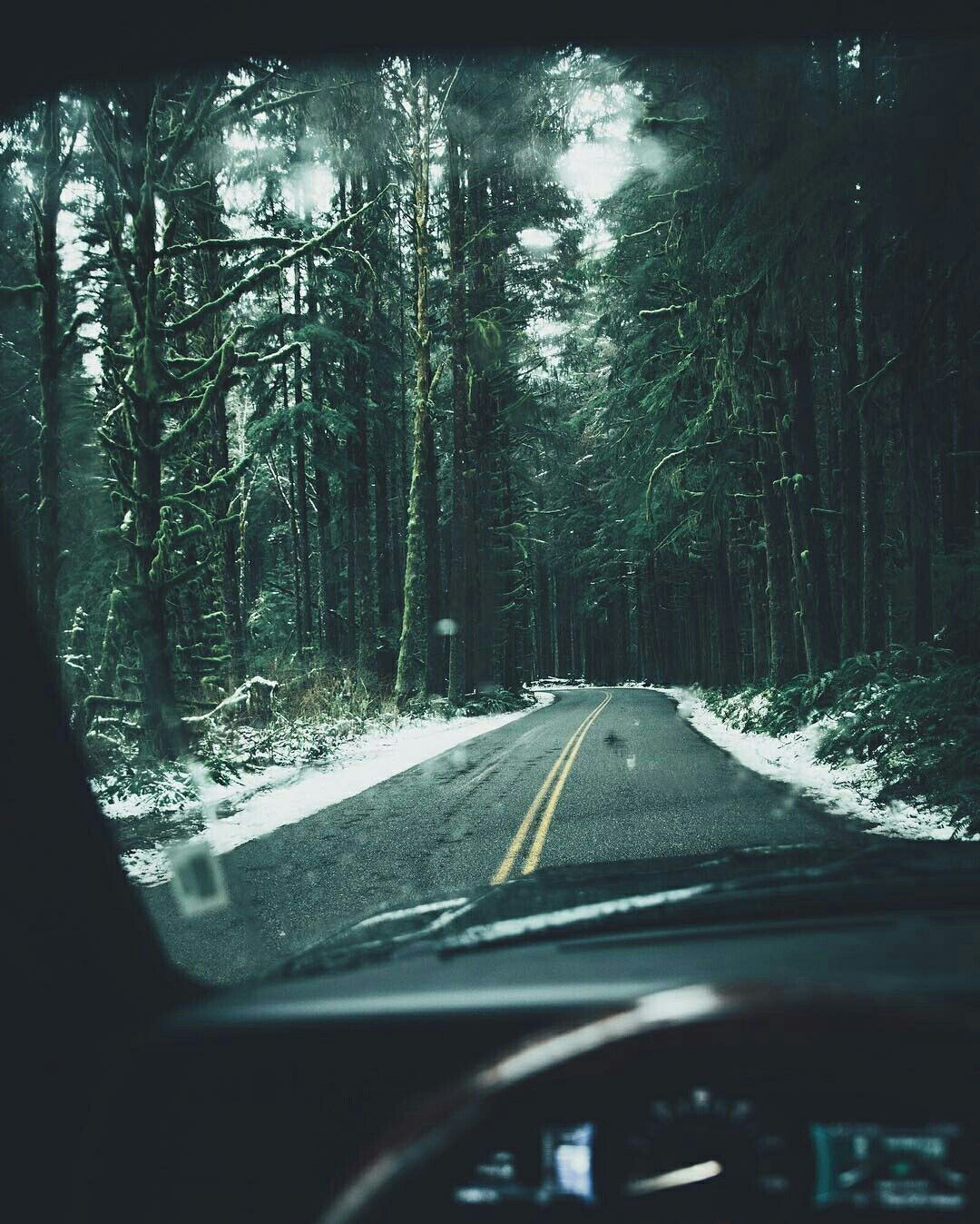 To Narnia by car - Road, The photo, Forest, Winter, Nature, Tree, Car