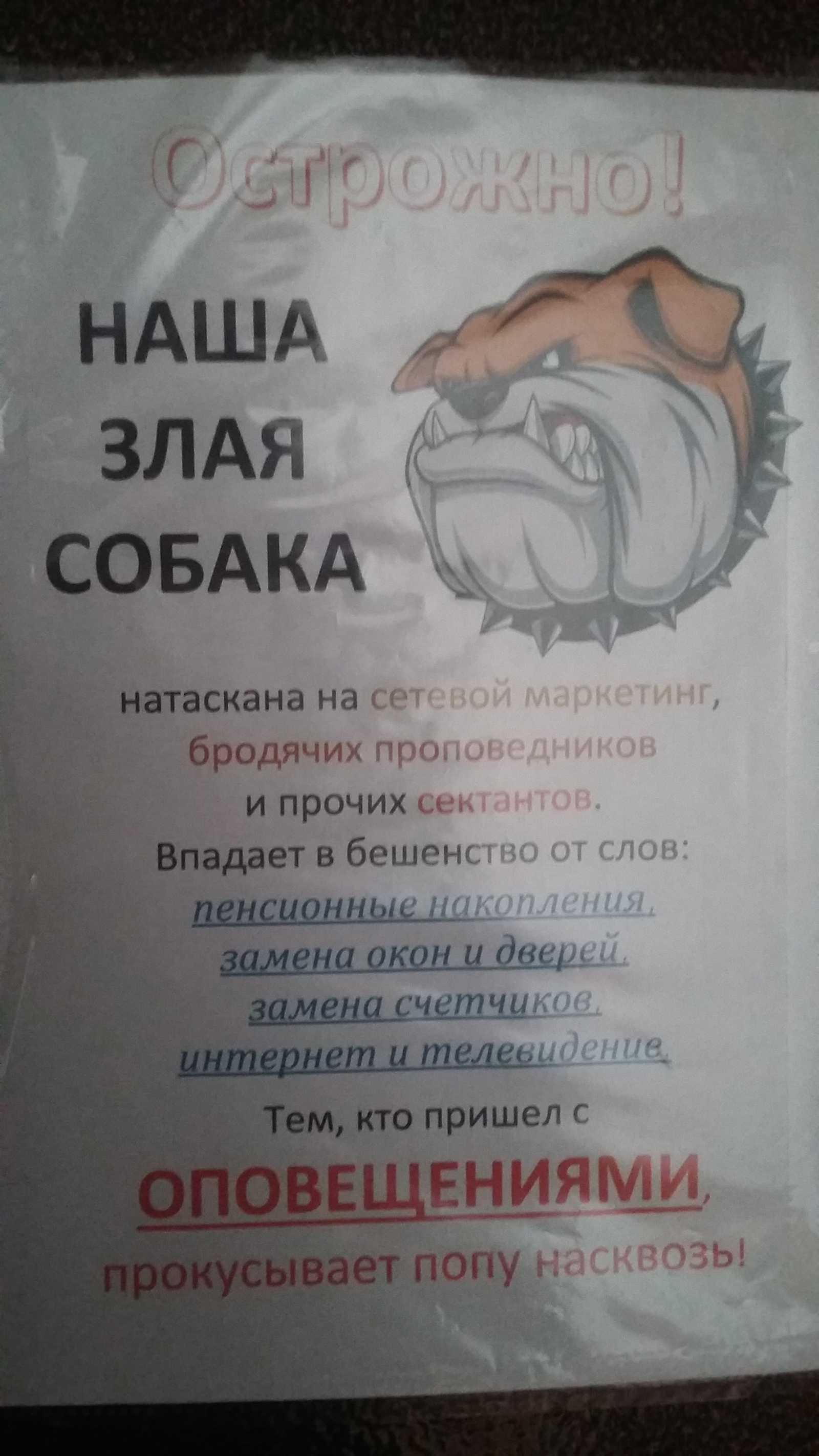 Наша злая собака | Пикабу
