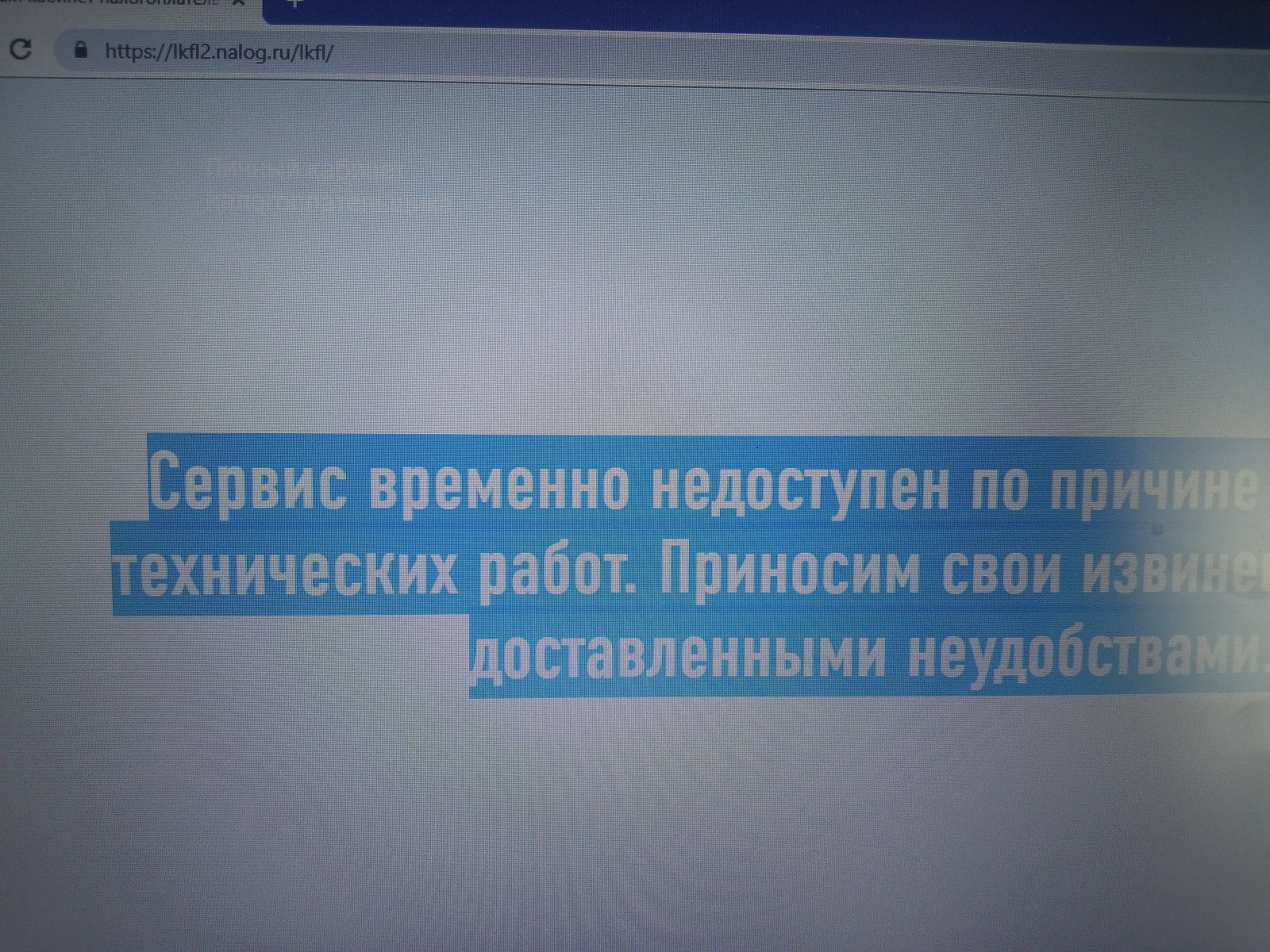 ФНС, это гениально! - Моё, Фмс, Сайт, Личный кабинет, Глюки