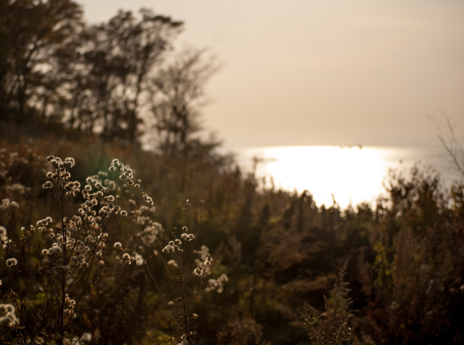 Sunset was coming... - My, Nikon, Nikon D40, Nikkor, Nature, Light