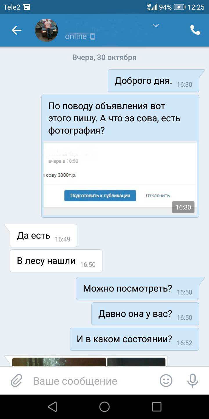 Как спасали филина, которого мужик держал в шкафу и пытался продать на Авито - Животные, Сова, Челябинск, Длиннопост