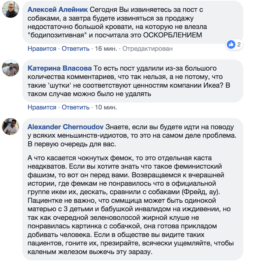 Взбунтовавшиеся бабы - немного правды о современном феминизме - Моё, Феминизм, Феминистки, Общество, Длиннопост