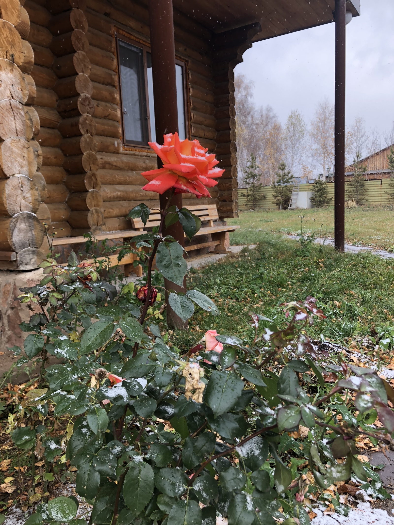 Доставку свежих цветов на дачу, в загородный дом или коттедж