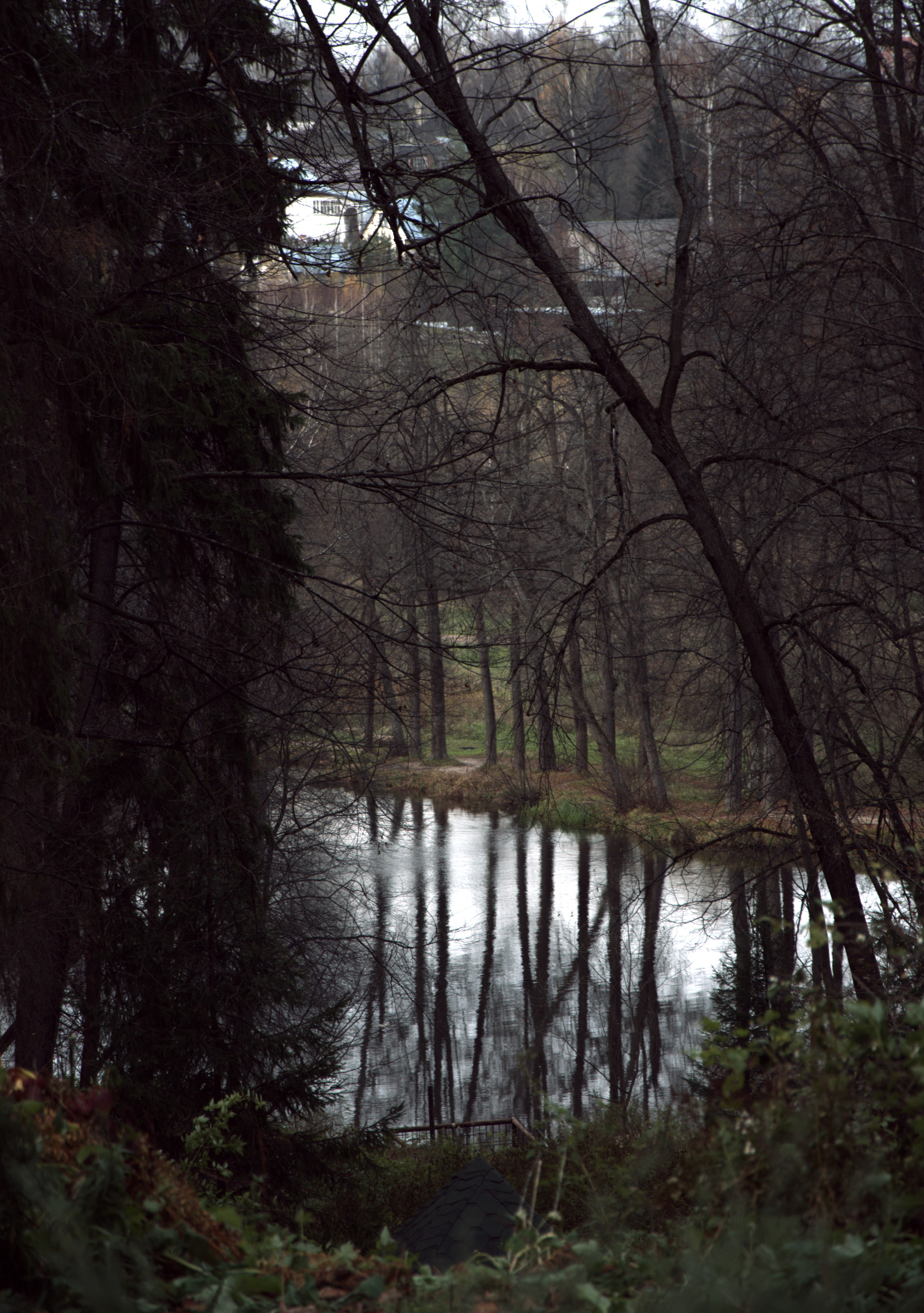 Lermontov autumn. - My, Autumn, Manor Serednikovo, Photographer, Longpost