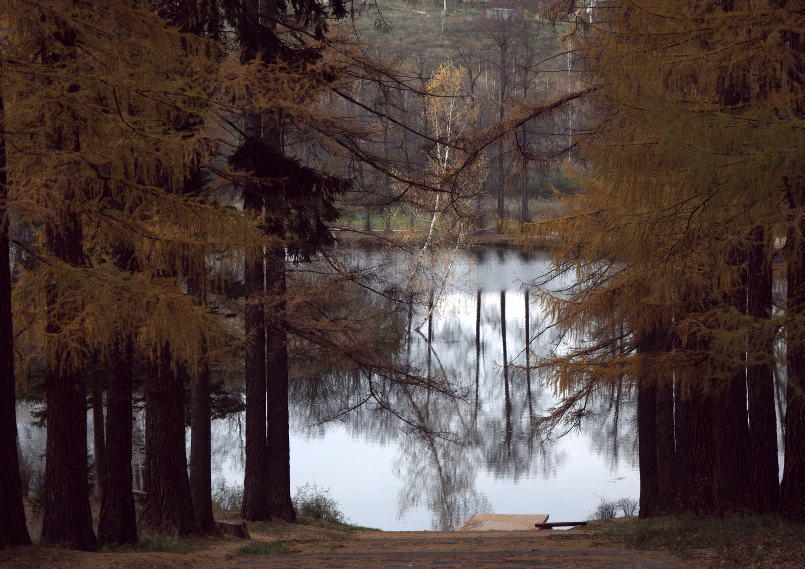 Lermontov autumn. - My, Autumn, Manor Serednikovo, Photographer, Longpost