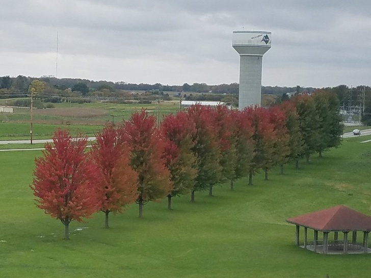 Autumn is set in your region. Wait, please - Autumn, Images, loading, Tree