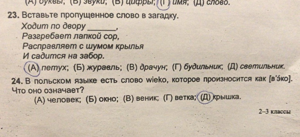 Olympiad in Russian for the third grade - My, Modern education, elementary School, Longpost, Education