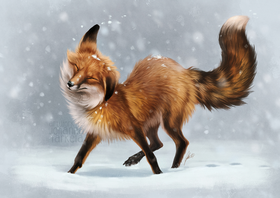 First Snow - Fox, Art, Johis