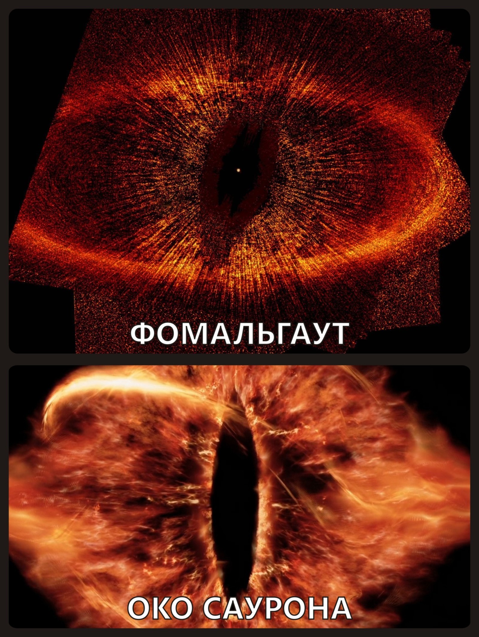 Один в один | Пикабу