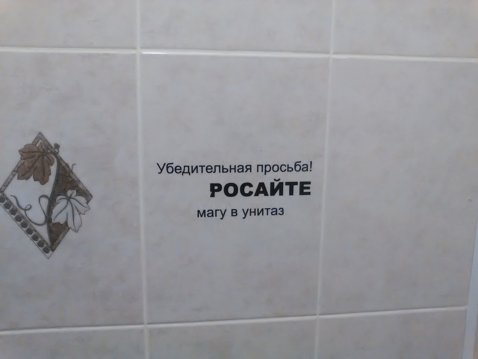 ..drop the magician in the toilet)) the magician is tired of waiting) - My, Magician, Toilet