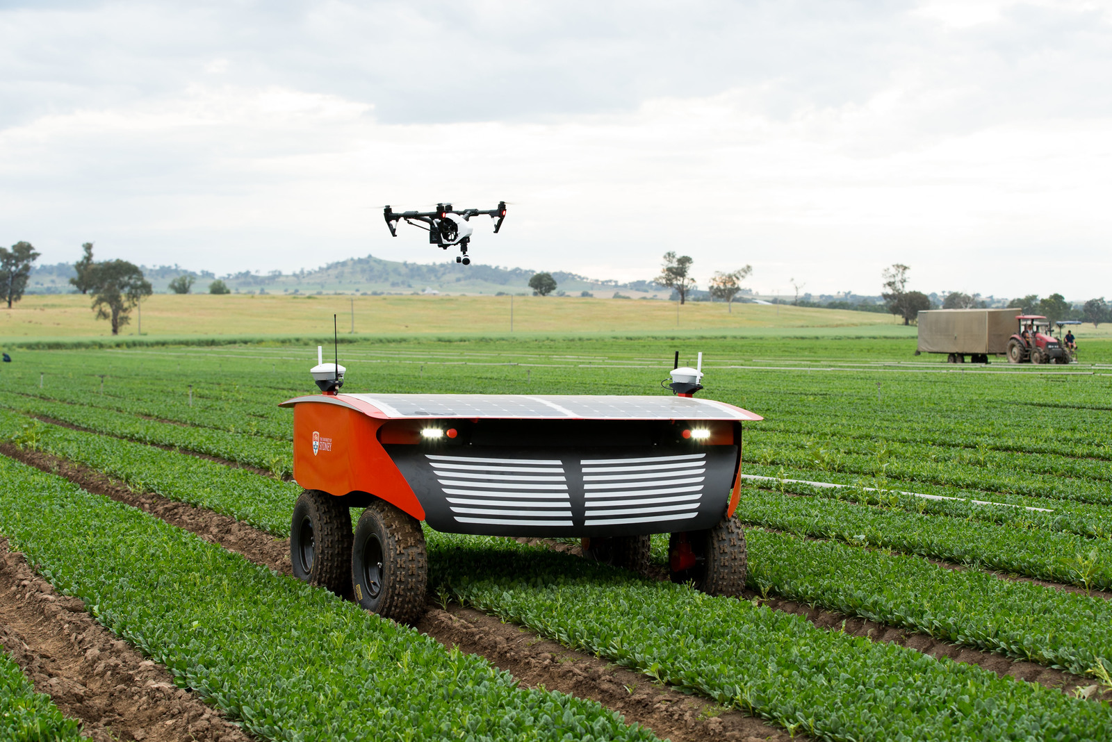 Collective farm of robots - Ecology, Robot, Сельское хозяйство, Ecosphere, Technologies, Australia, Innovations, Longpost, Video