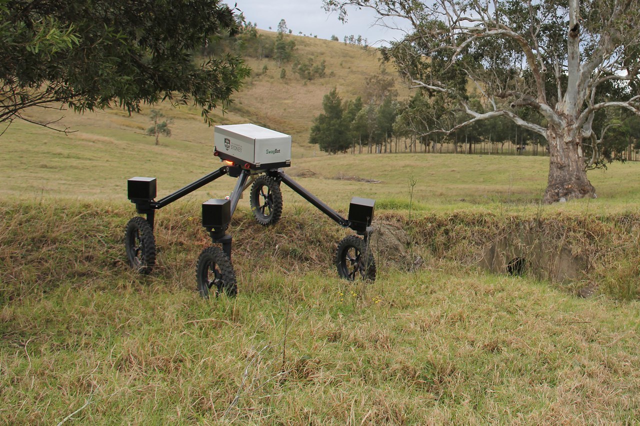 Collective farm of robots - Ecology, Robot, Сельское хозяйство, Ecosphere, Technologies, Australia, Innovations, Longpost, Video