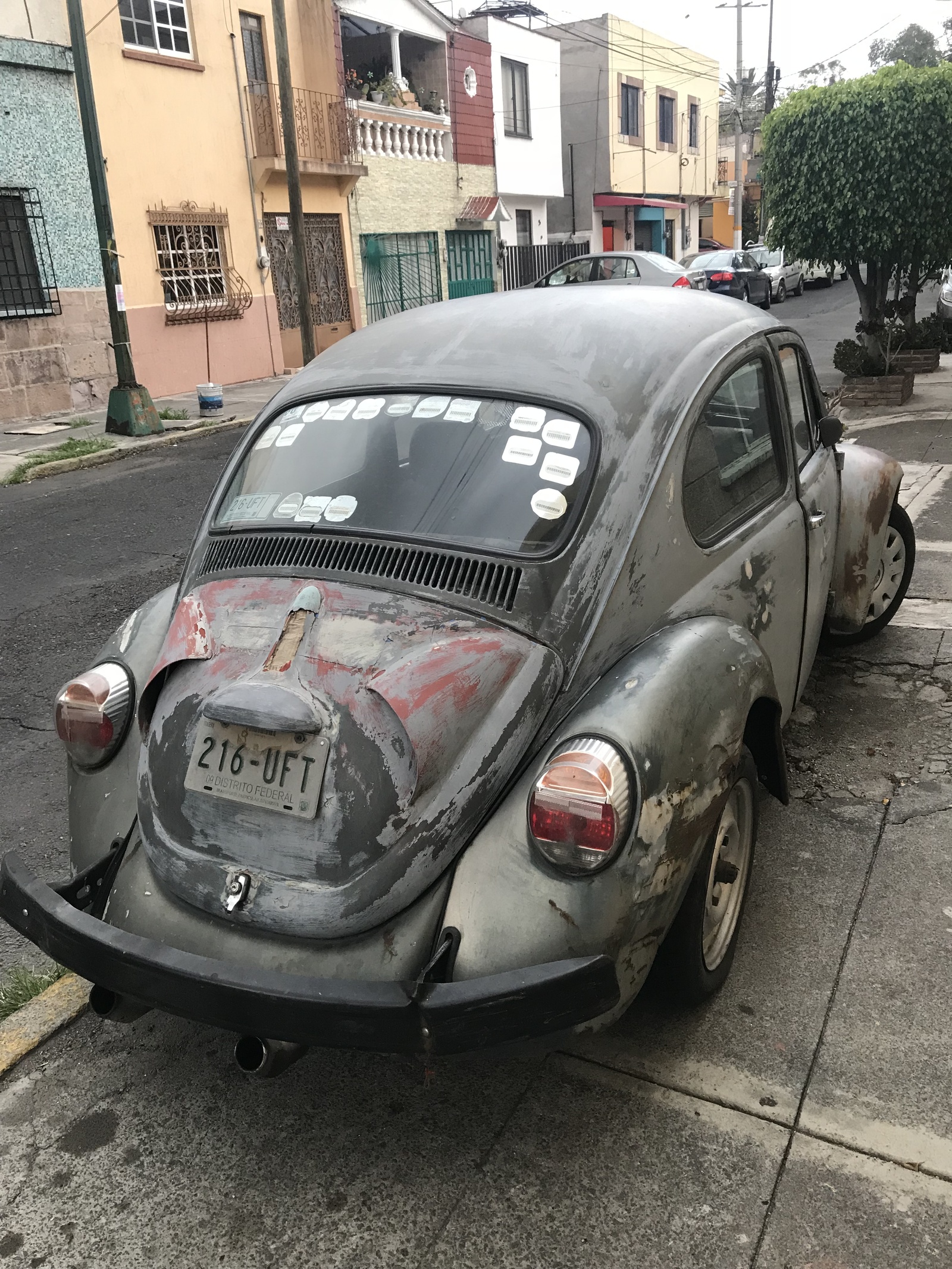 mexican beetles - My, Volkswagen beetle, Mexico, Retro car, Longpost