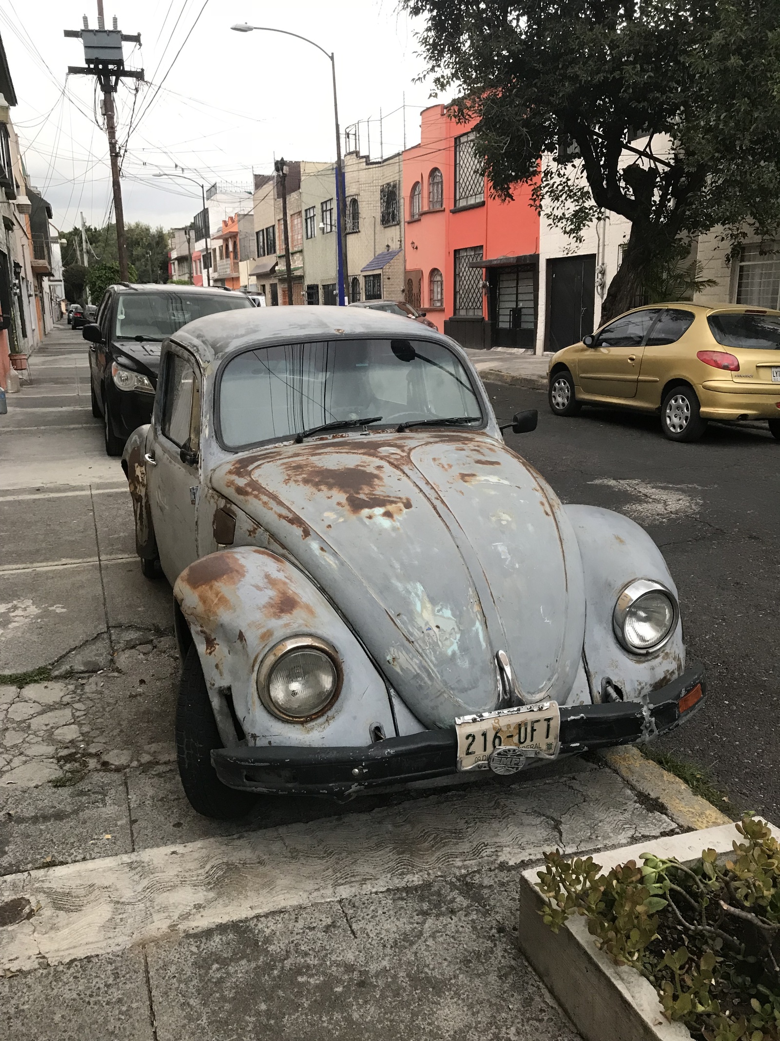 mexican beetles - My, Volkswagen beetle, Mexico, Retro car, Longpost