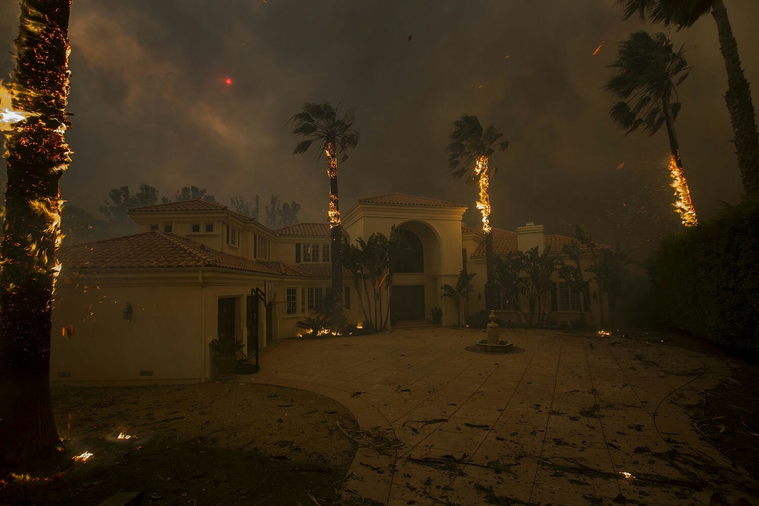 Burning palm trees in Malibu ( California, USA, 9.11.2018) - Nature, California, Fire, America, USA, The photo, Palm trees, Longpost