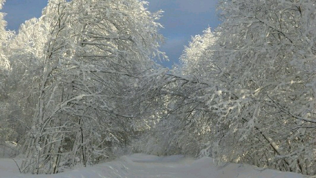 Winter, road home. - Nature, The photo, Road, My, Winter, Forest