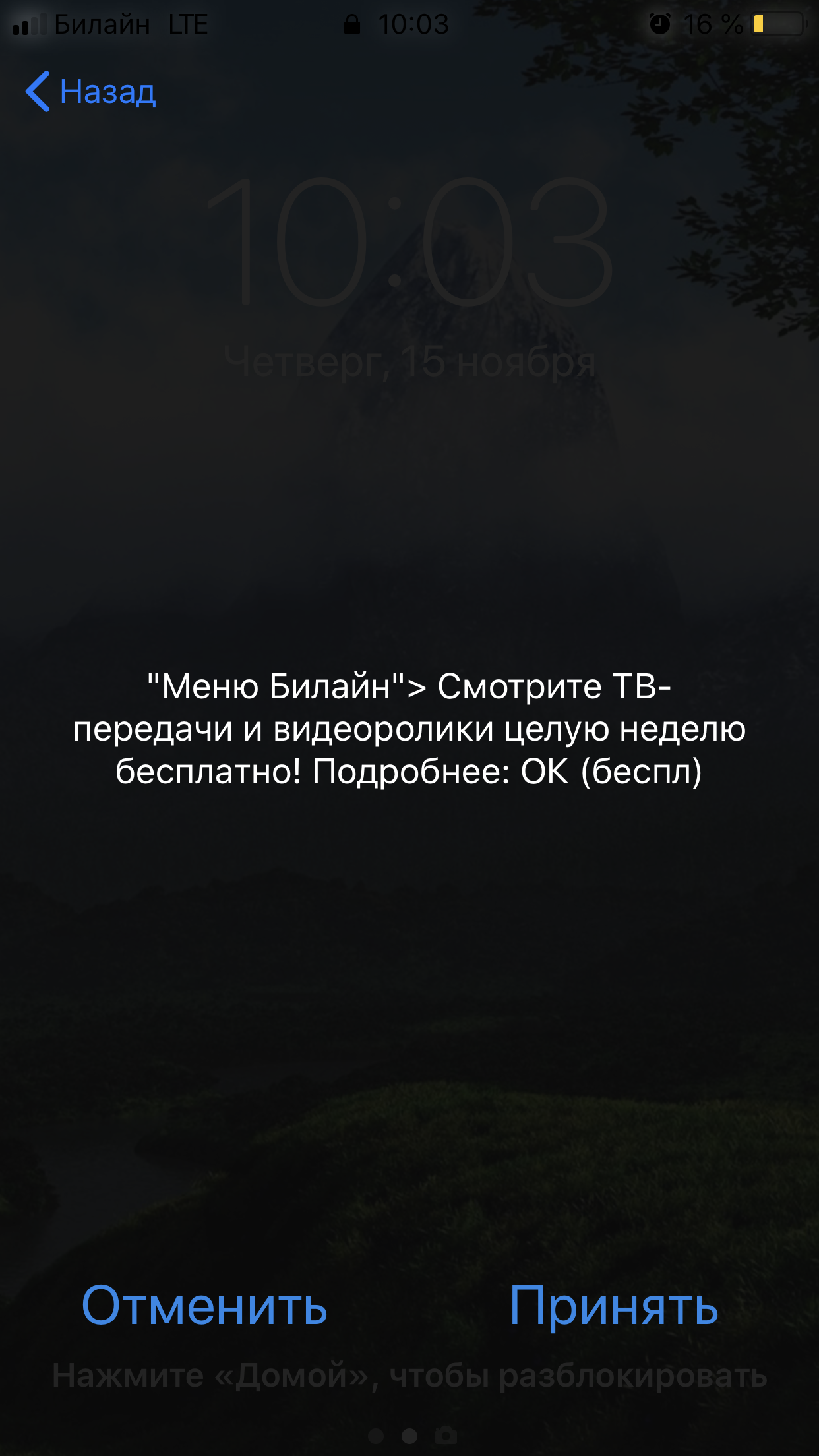 Билайн опять козлит - Моё, Билайн, Платные подписки, Телефон, Развод на деньги