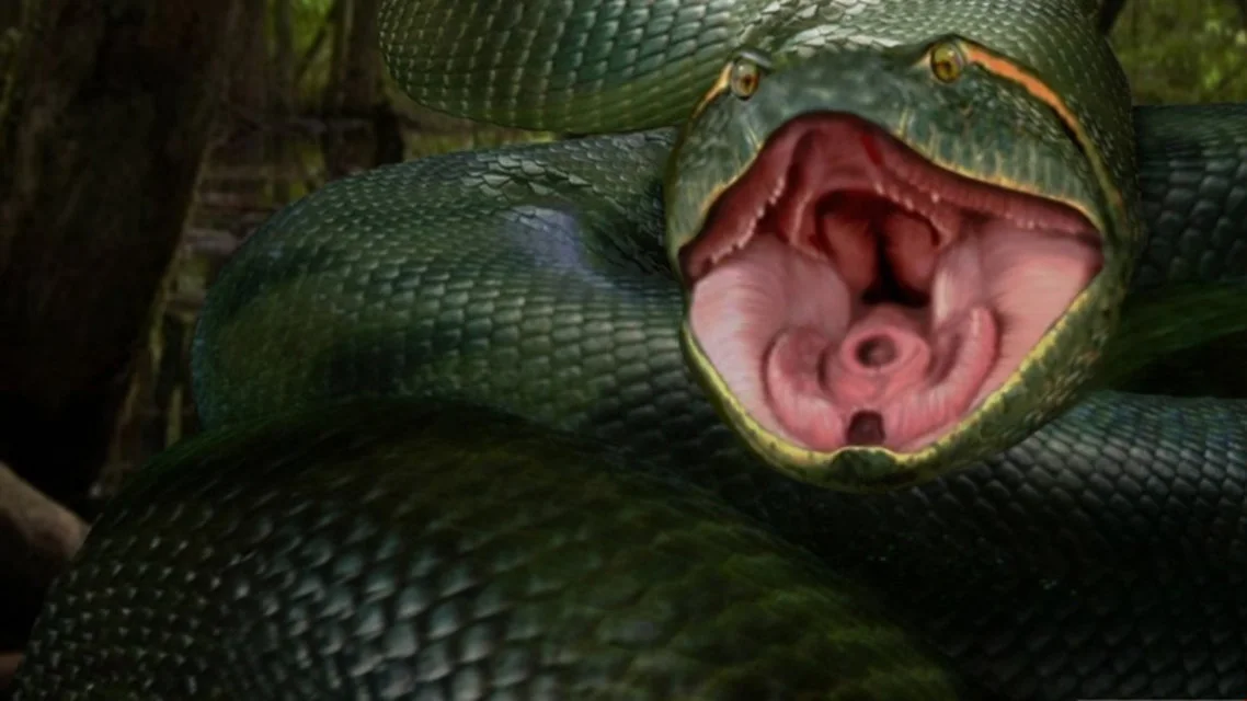 Анаконда Фото Самая Большая Змея