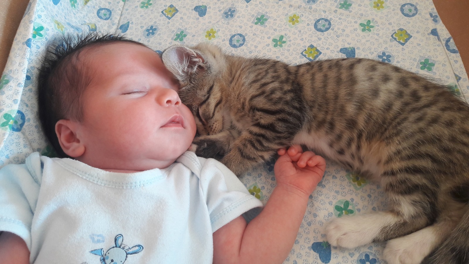 How did we find a friend in the garbage dump ... - My, Animals, friendship, Care, Love, Milota, Longpost, cat