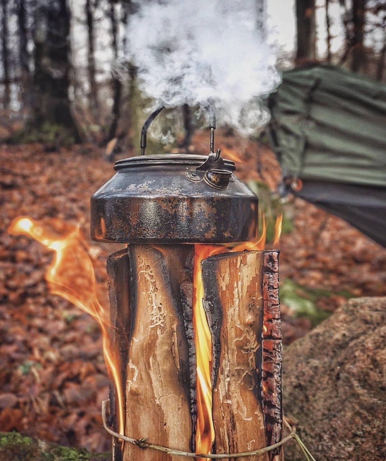 good sunday morning - Fishing, Nature, Good morning, The photo