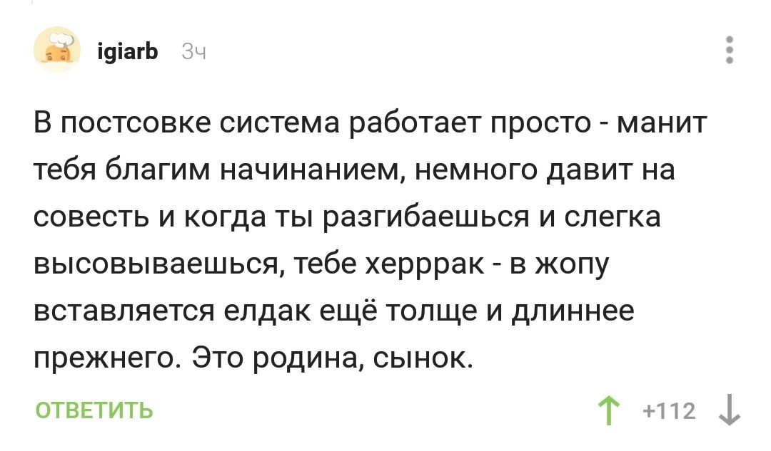 Это родина, сынок - Комментарии на Пикабу, Родина, Скриншот, Комментарии