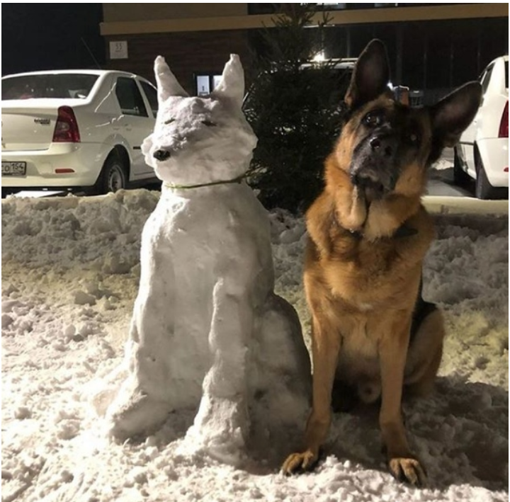 Looks like it? - Dog, snowman, From the network