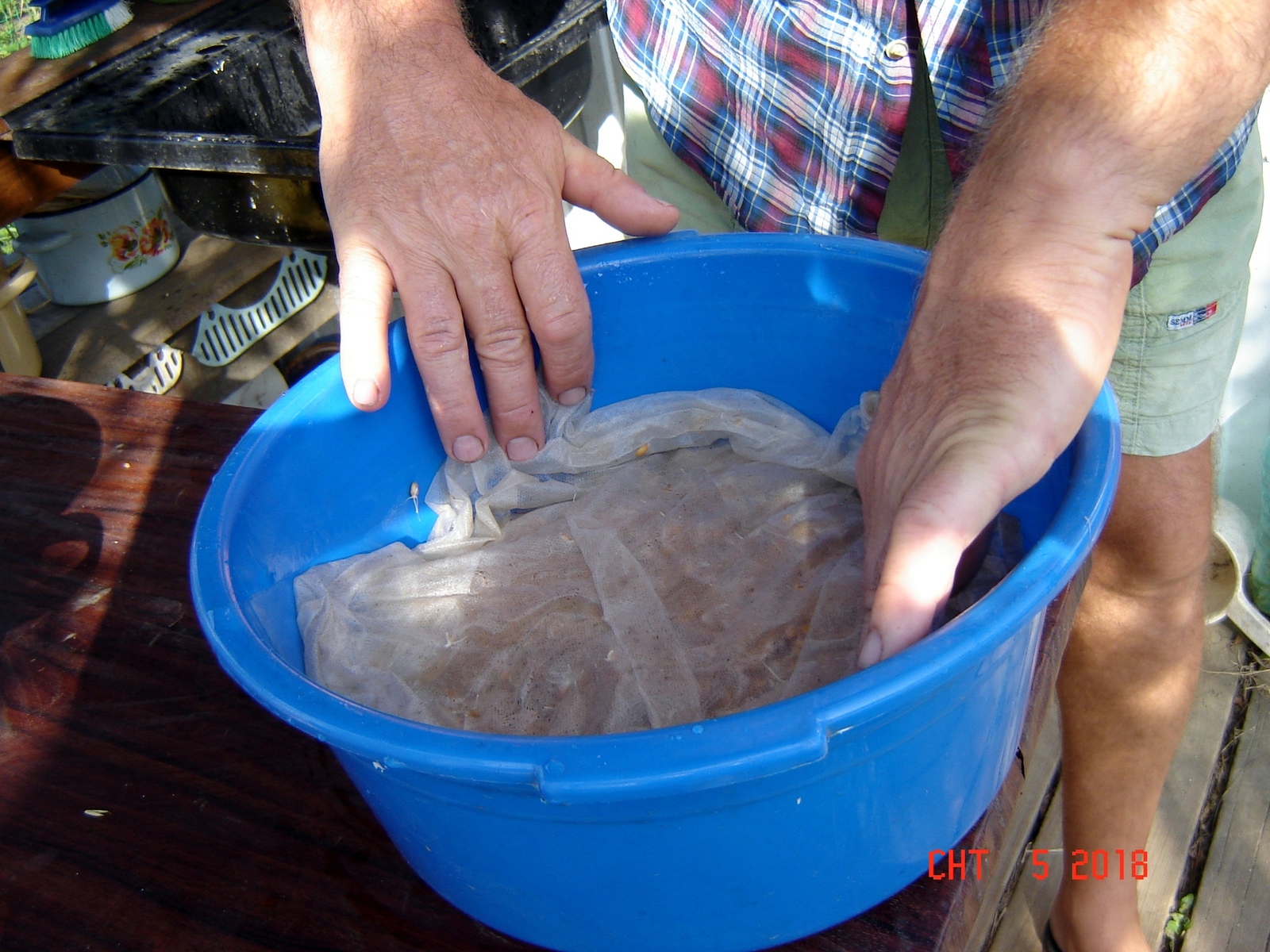 Yeast from green malt - My, , Yeast, Longpost