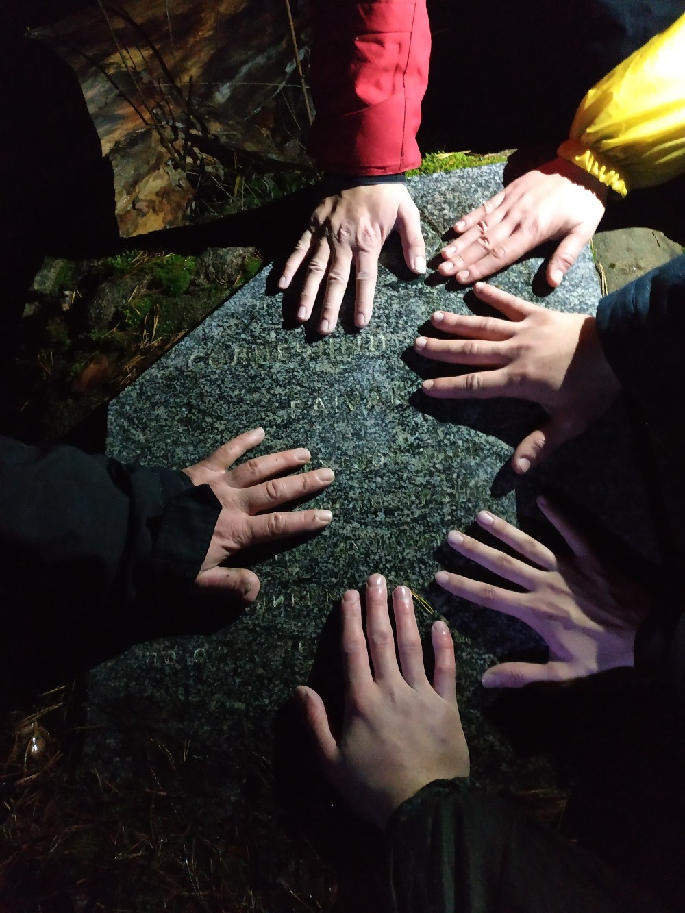 How we searched for the Sun Stone - My, Longpost, Travels, Hike, Vuoksi, Sail, A boat, Story, Tourism, Reeds, Video