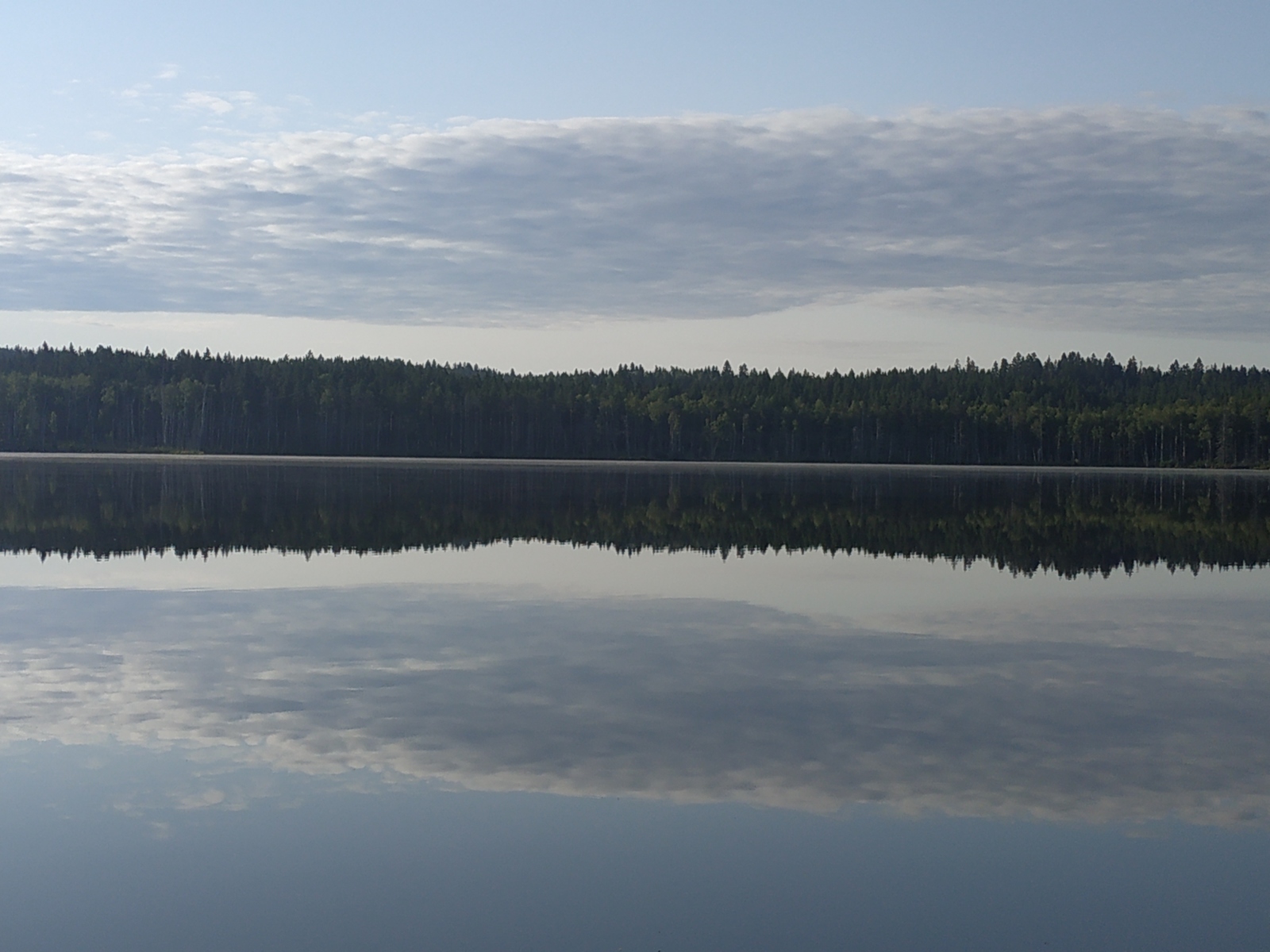 How we searched for the Sun Stone - My, Longpost, Travels, Hike, Vuoksi, Sail, A boat, Story, Tourism, Reeds, Video