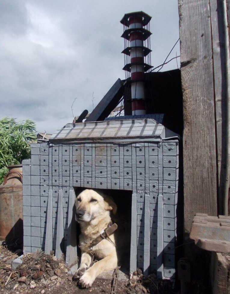 Chief Isotope of the Yard - Sarcophagus, Chernobyl, Dog, Booth, Stalker