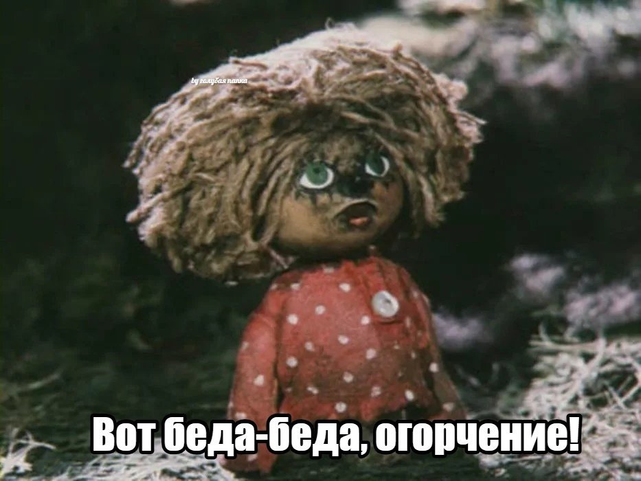 Зеленський відвідає Полтавщину з робочою поїздкою в день завершення обсервації українців у Нових Санжарах - Цензор.НЕТ 3854