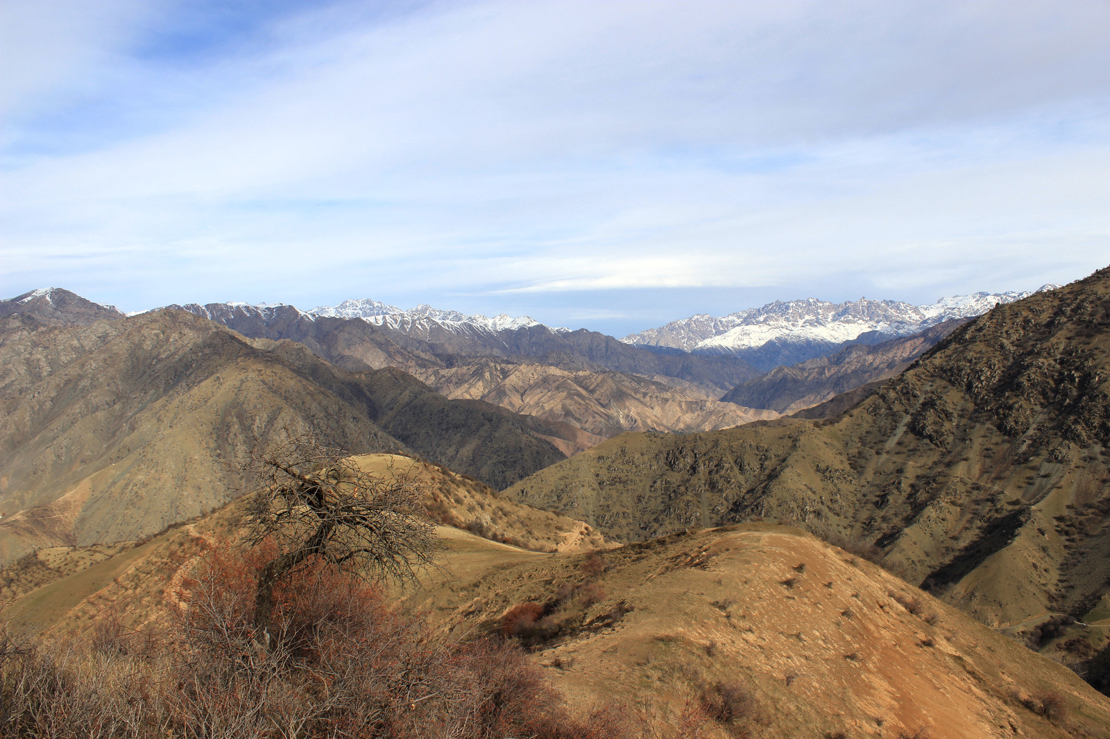 Last days of November - My, The mountains, Tree, Clouds, Longpost