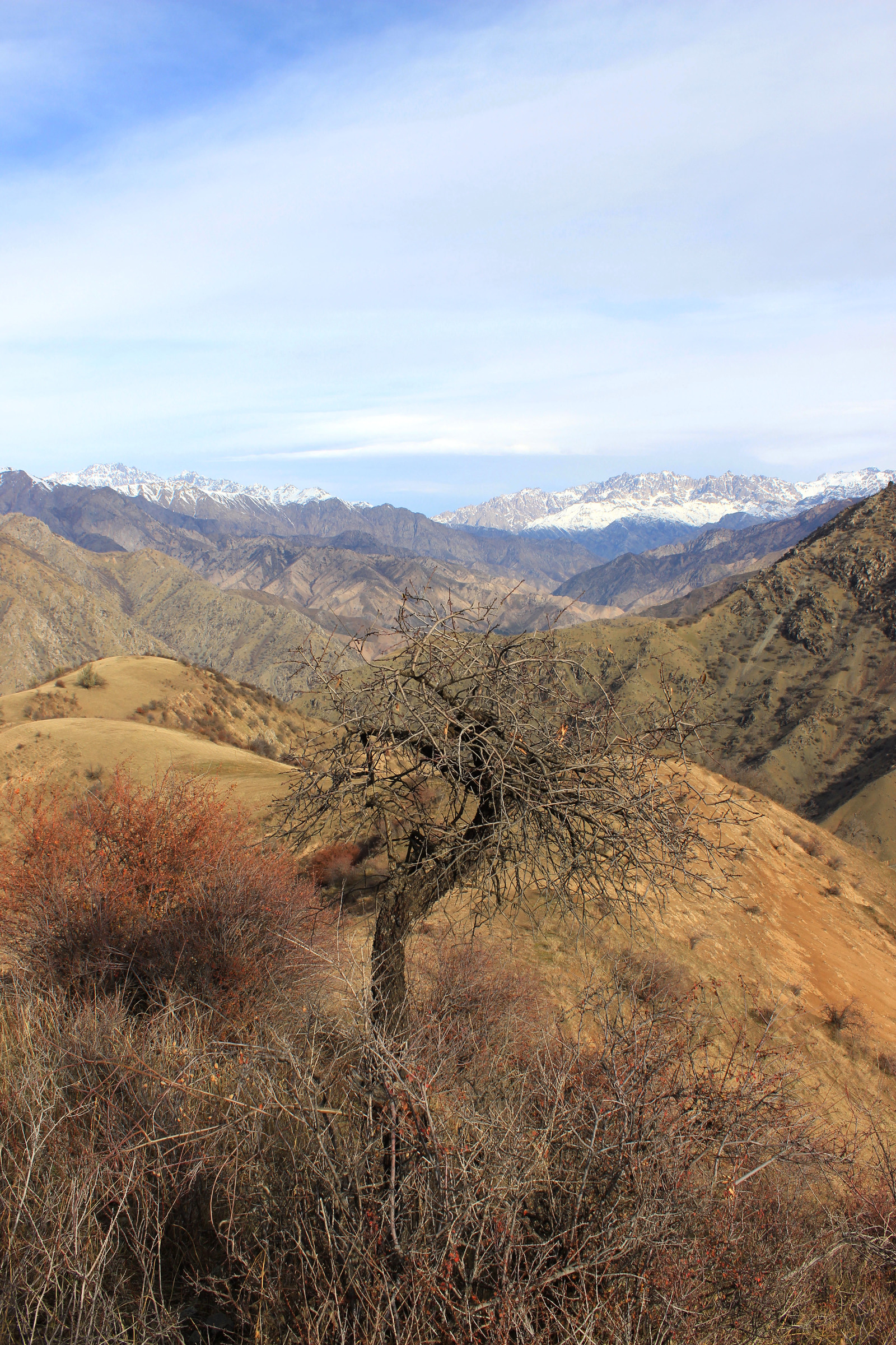 Last days of November - My, The mountains, Tree, Clouds, Longpost