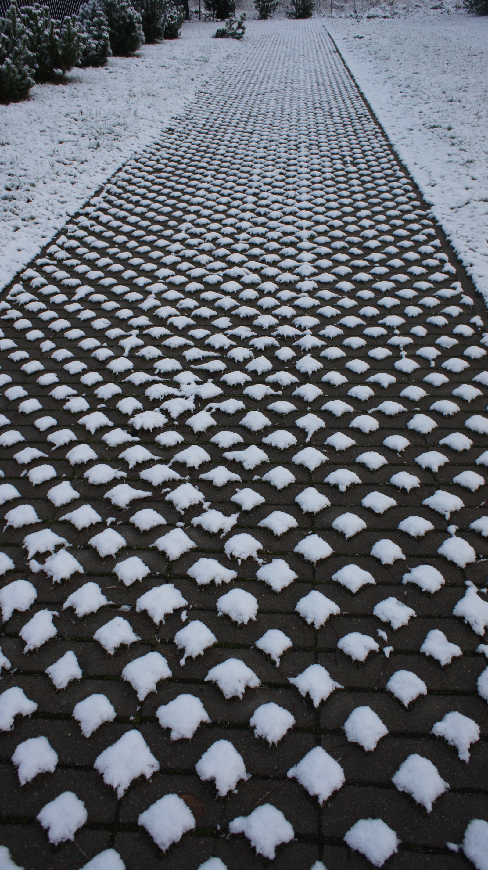 Snow on paving slabs - Snow, Sidewalk, Paving slabs