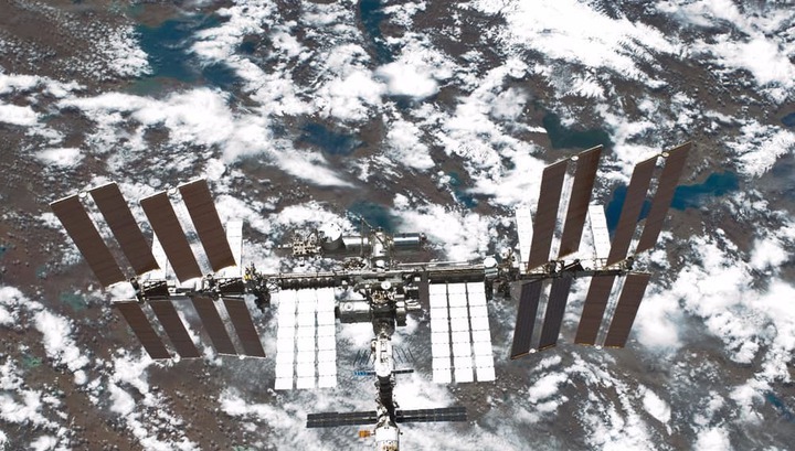 Potentially dangerous and drug-resistant bacteria discovered on the ISS - Society, Health, Bacteria, Medications, , Antibiotics, To lead, Mutation, Longpost