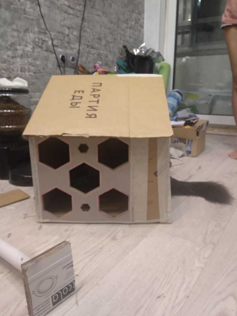 Do-it-yourself house and bed for cats - My, cat, House, Love, Longpost, Needlework, With your own hands