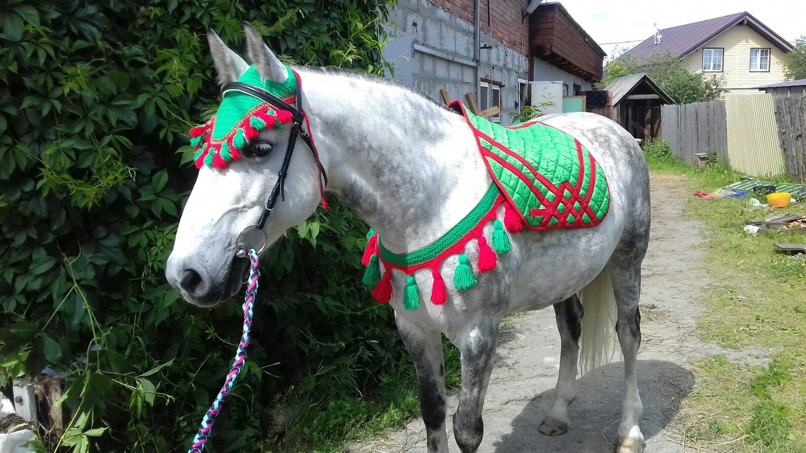 Mom's hand made - Handmade, Horses, Handmade, Yekaterinburg, Longpost