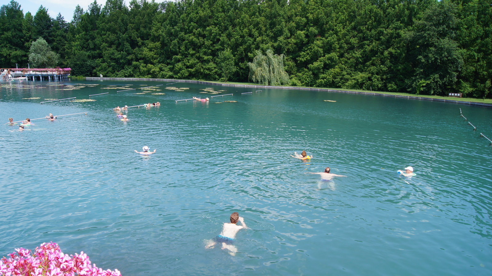 Heviz in July. Hungary - My, Hungary, Bathing, HГ©vГ­z, Longpost, Bathing